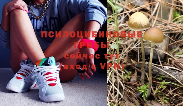 mdpv Пролетарск