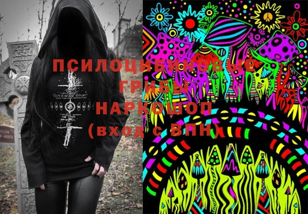 молекула духа Протвино